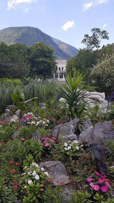 Grand T2 Calme Et Cosy Au « Pyrenees Palace » Bagnères-de-Luchon Exteriér fotografie